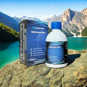Nordcanin Multivitamin Pro+ – folyékony multivitamin kutyáknak, kolinnal és Q10-zel a jobb energiaszintért és immunerőért