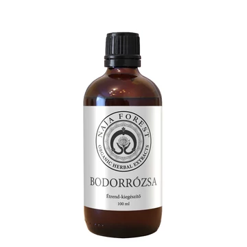 Naja Forest Bodorrózsa kivonat – alkoholmentes, polifenolban gazdag, gyermekbarát immunerősítő glicerines formulában, gyors felszívódással és természetes mindennapi védelemmel