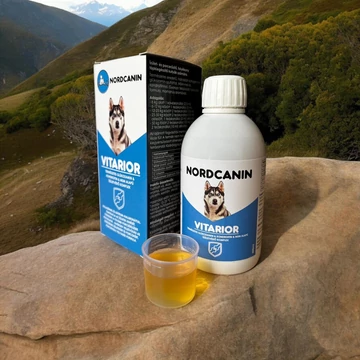 Nordcanin Vitarior ízületvédő folyadék kutyáknak – mozgékonyság és porcok támogatása