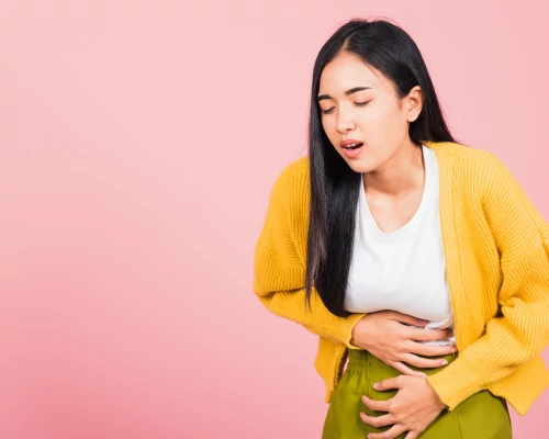 Hogyan segíti a Bifidobacterium longum a bélflóra egyensúlyát?