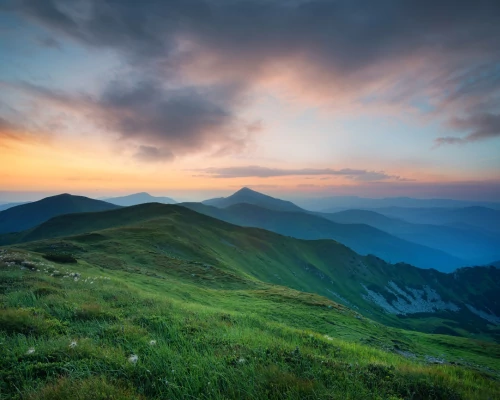 A tisztulás tudománya: huminsavak szerepe a szervezet természetes méregtelenítésében
