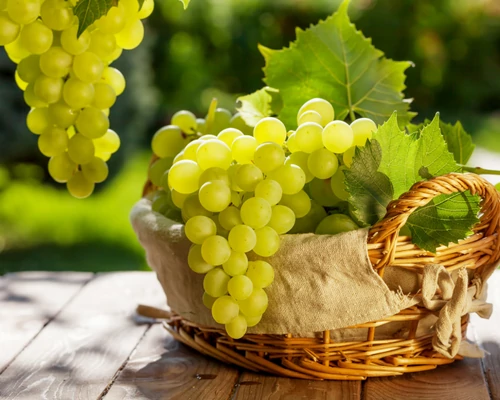 A Biblia 7 legfontosabb növénye: Szőlő – Ajándék a termékeny földtől az ünnepi asztalig