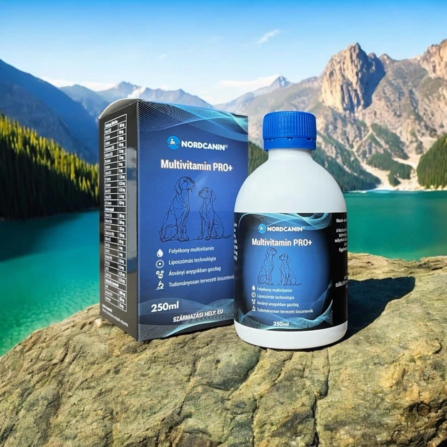 Nordcanin Multivitamin Pro+ – folyékony multivitamin kutyáknak, kolinnal és Q10-zel a jobb energiaszintért és immunerőért